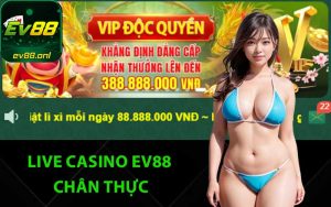 Live casino EV88 chân thực